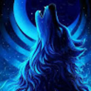 Meet your Posher, Storm